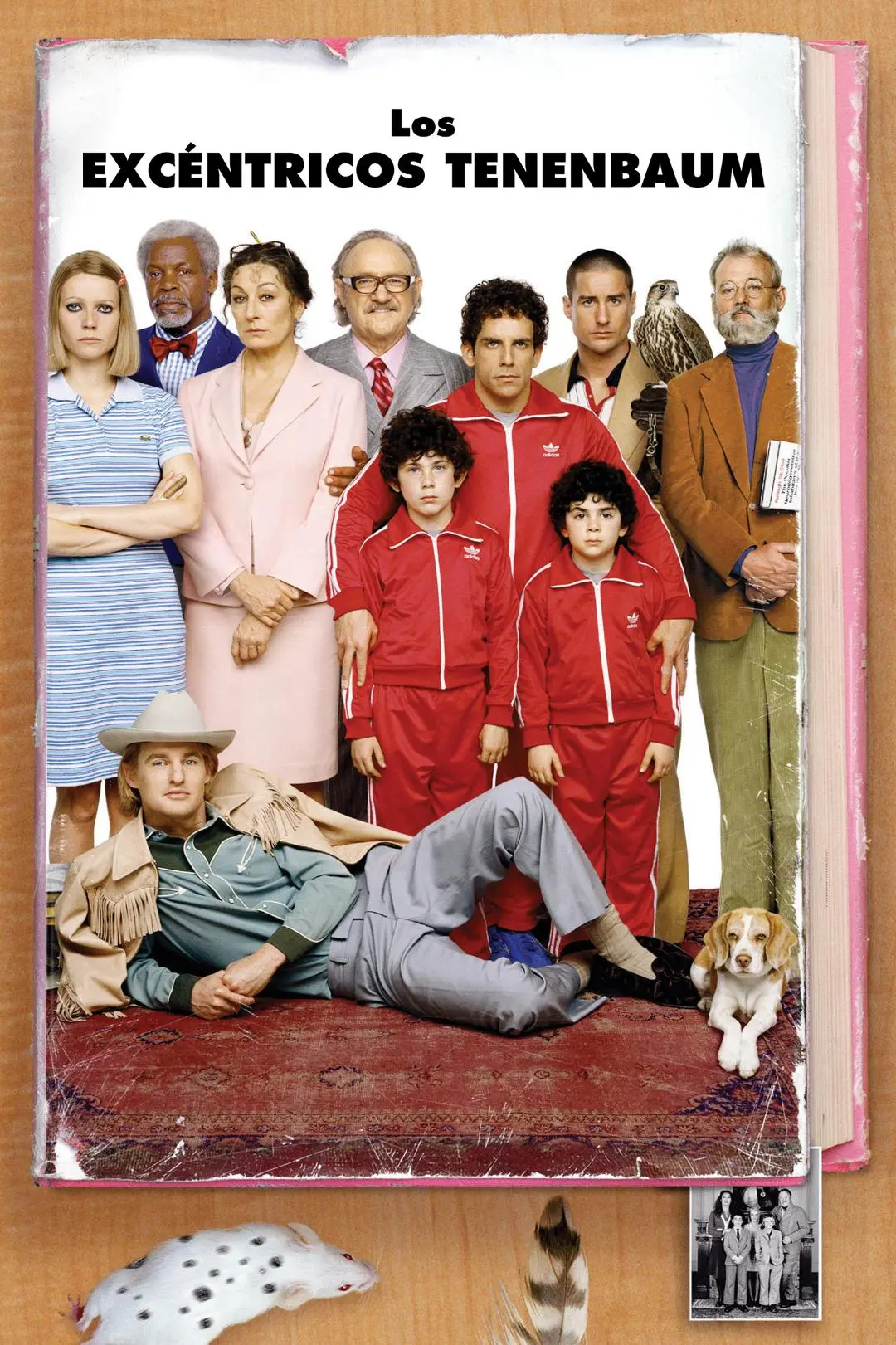 Los excéntricos Tenenbaums_peliplat