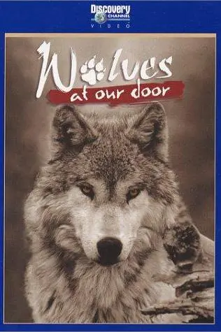 Wolves at Our Door_peliplat