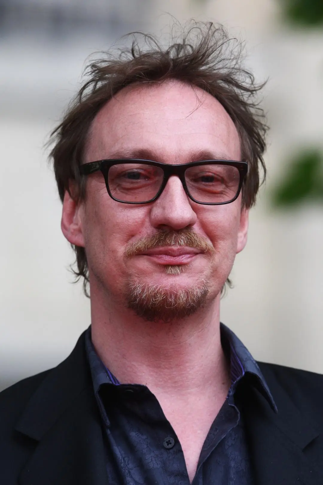 David Thewlis_peliplat