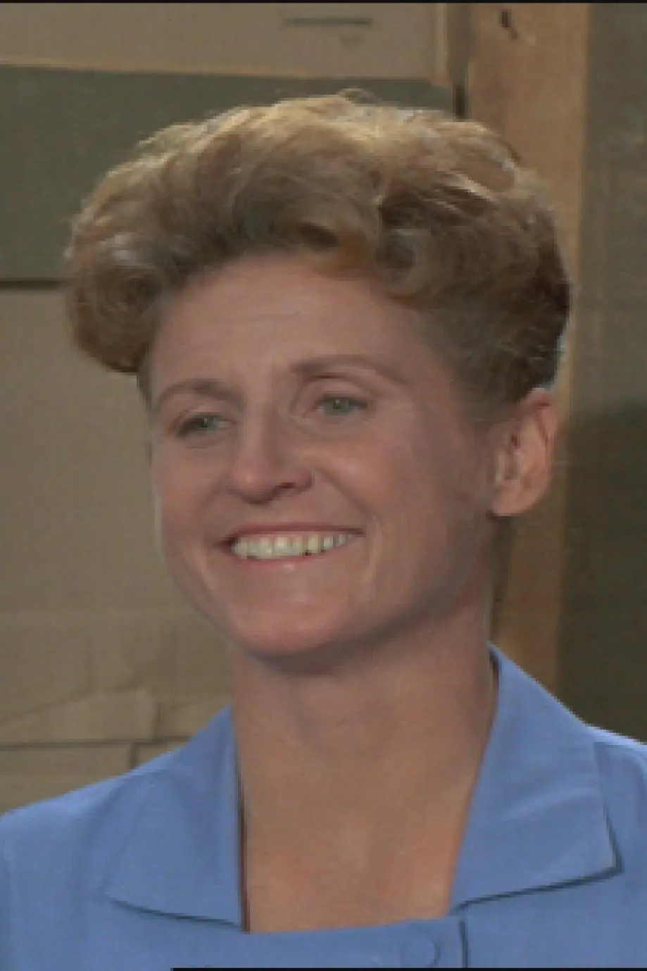 Ann B. Davis_peliplat