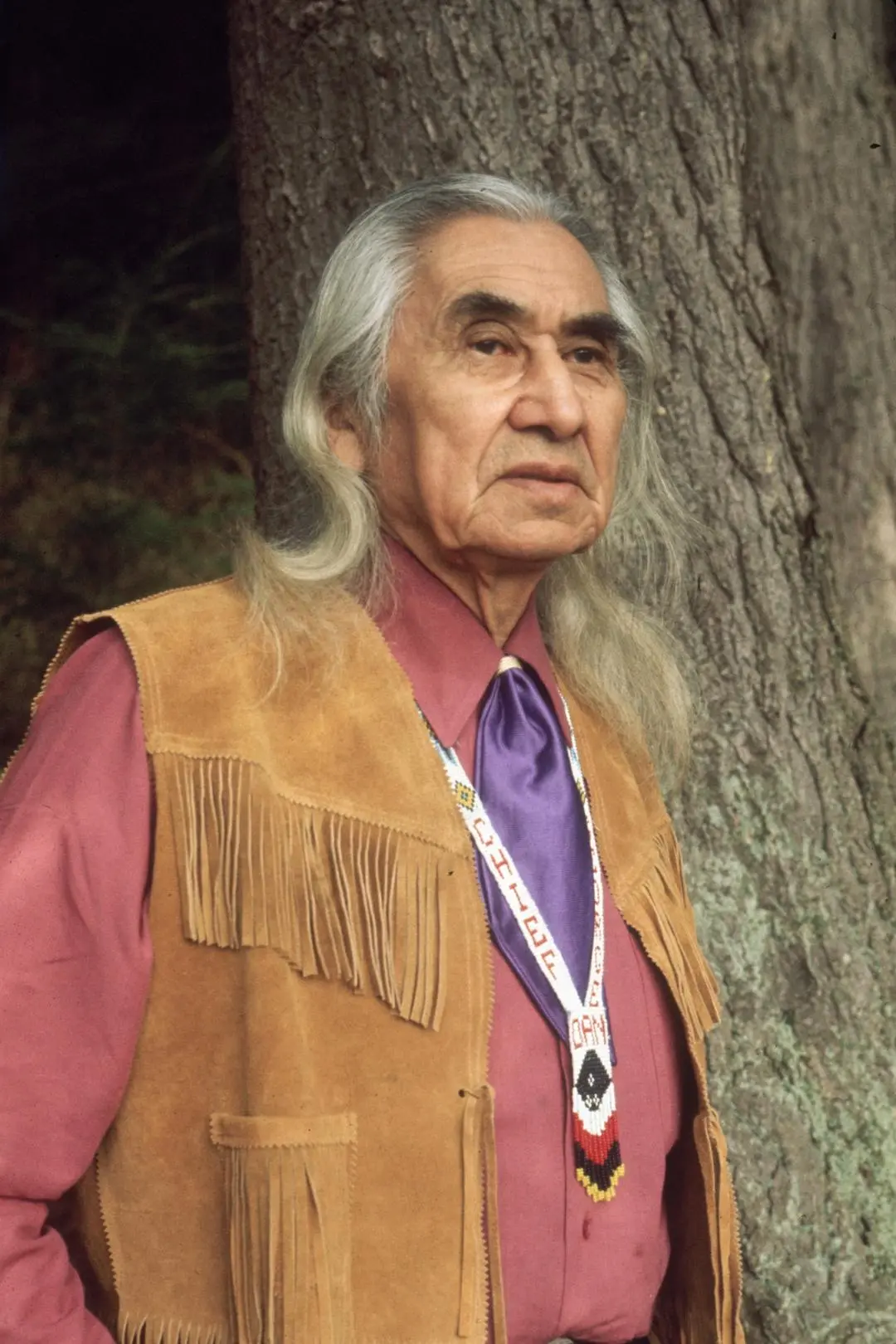 Chief Dan George_peliplat