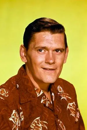 Dick York_peliplat