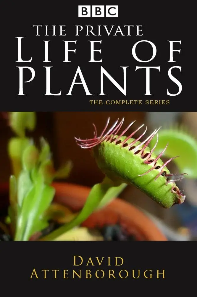 La vida privada de las plantas_peliplat