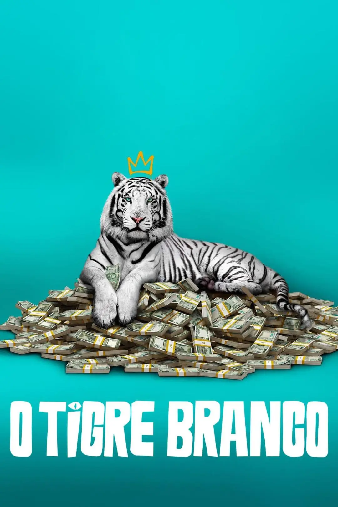 O Tigre Branco_peliplat