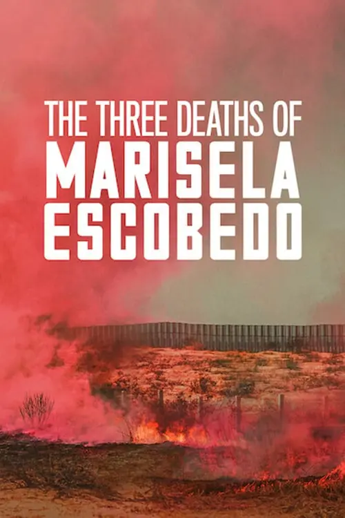 The Three Deaths of Marisela Escobedo_peliplat