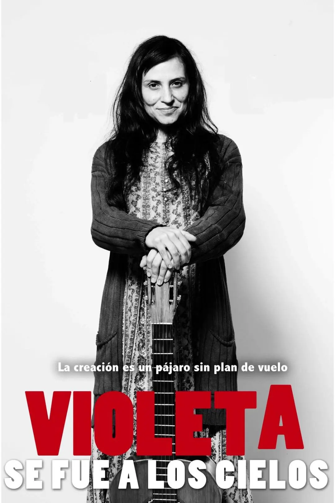 Violeta se fue a los cielos_peliplat