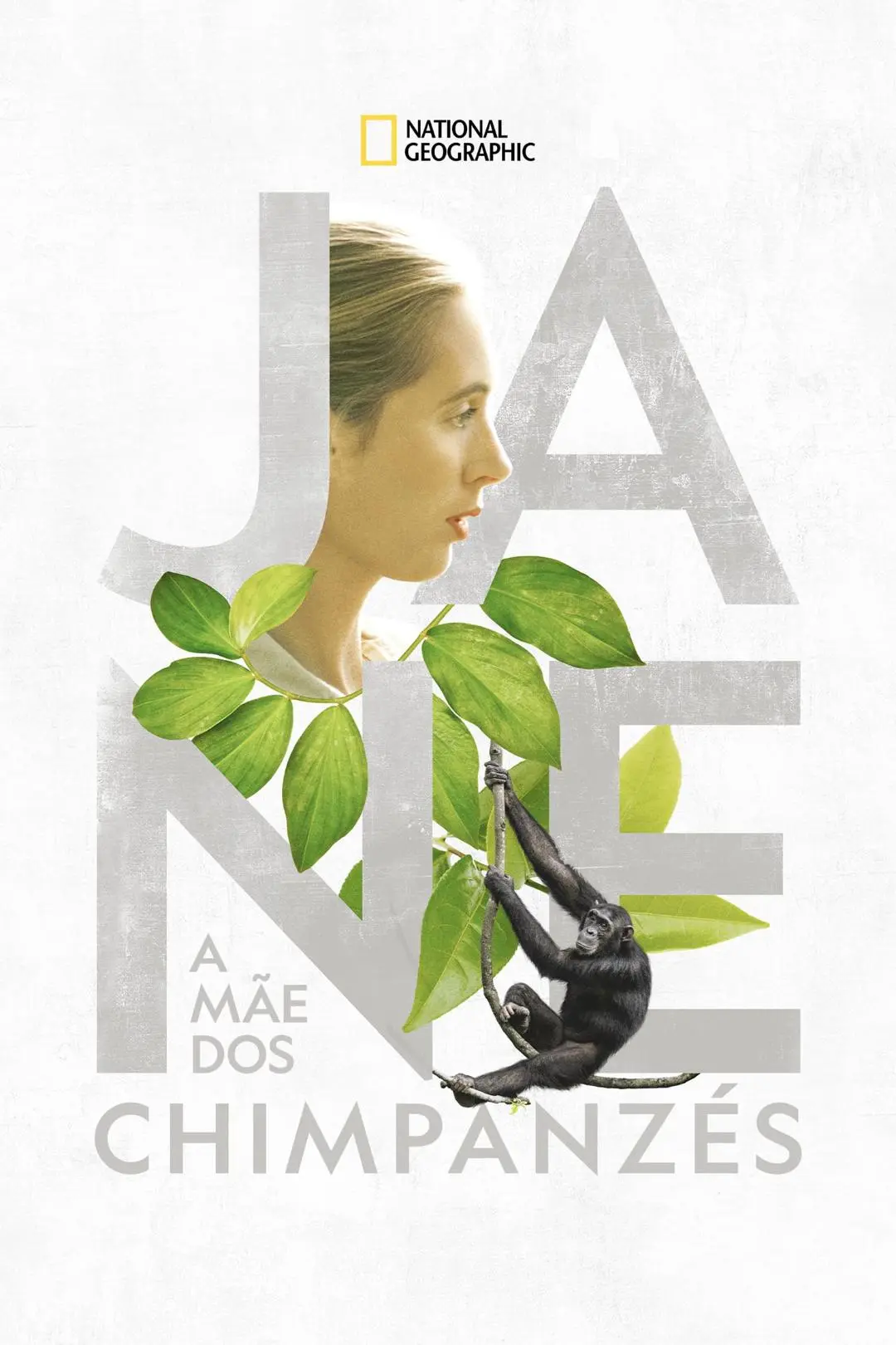 Jane: a Mãe dos Chimpanzés_peliplat