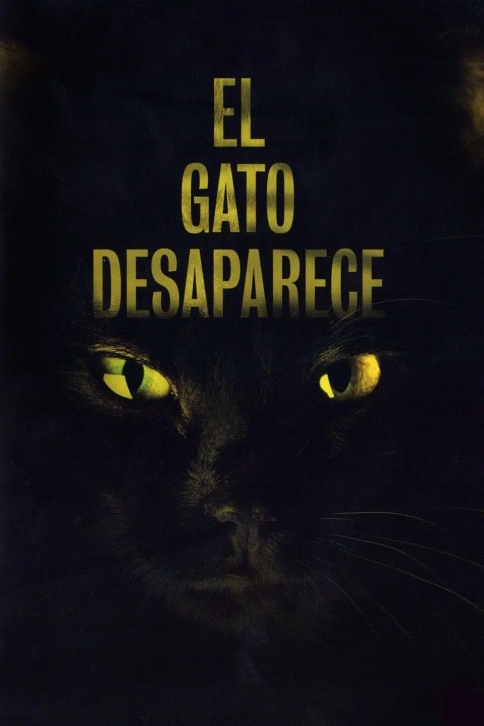 El gato desaparece_peliplat
