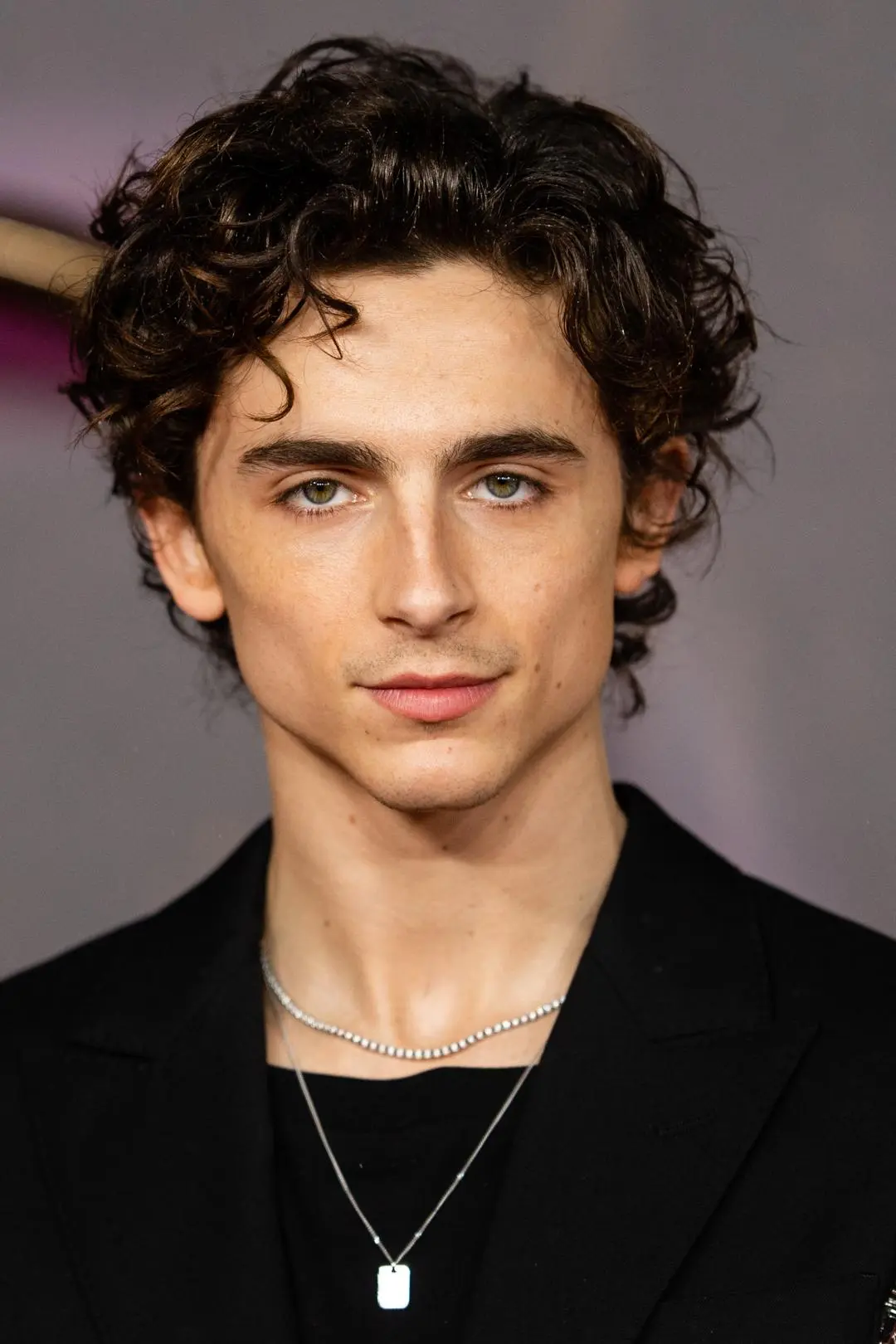 Timothée Chalamet_peliplat