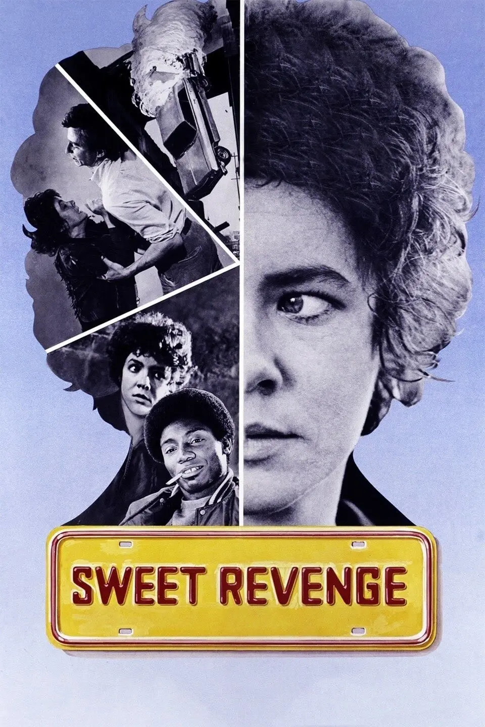 Sweet Revenge_peliplat