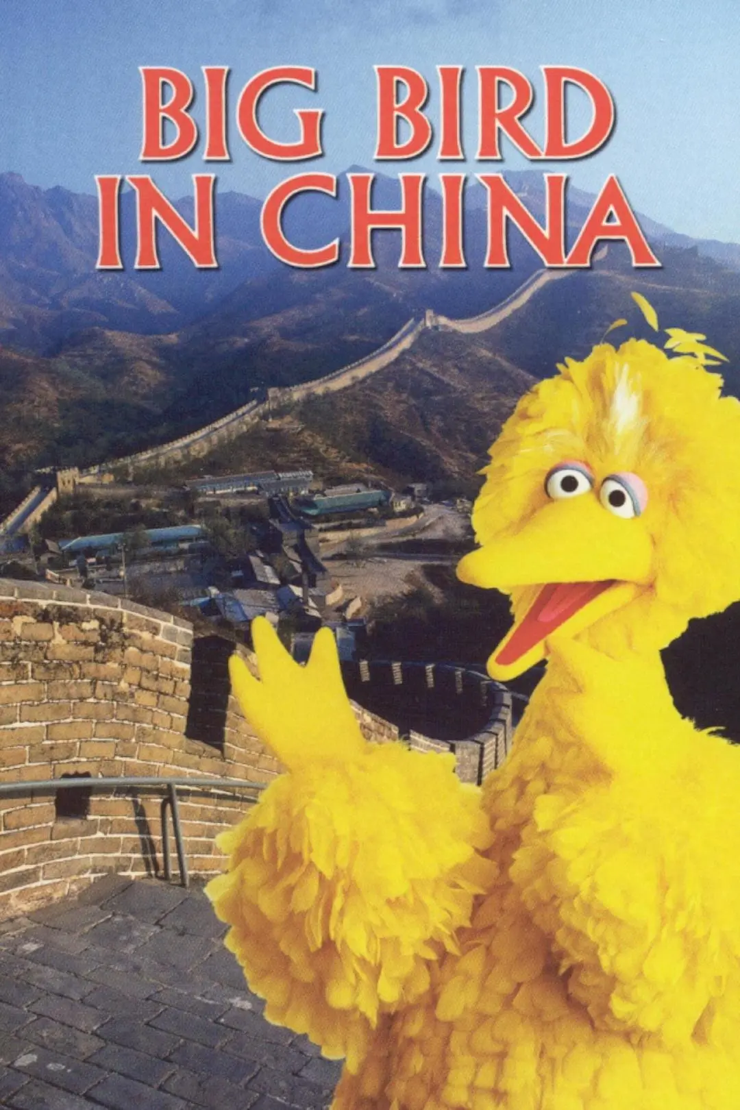 Big Bird in China_peliplat