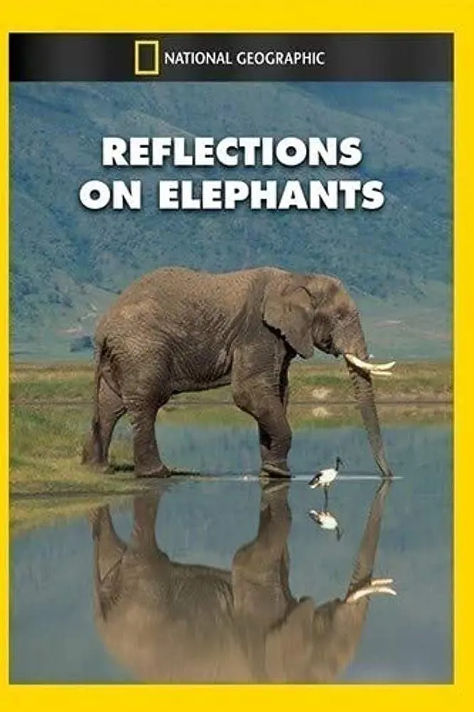 Reflections on Elephants_peliplat