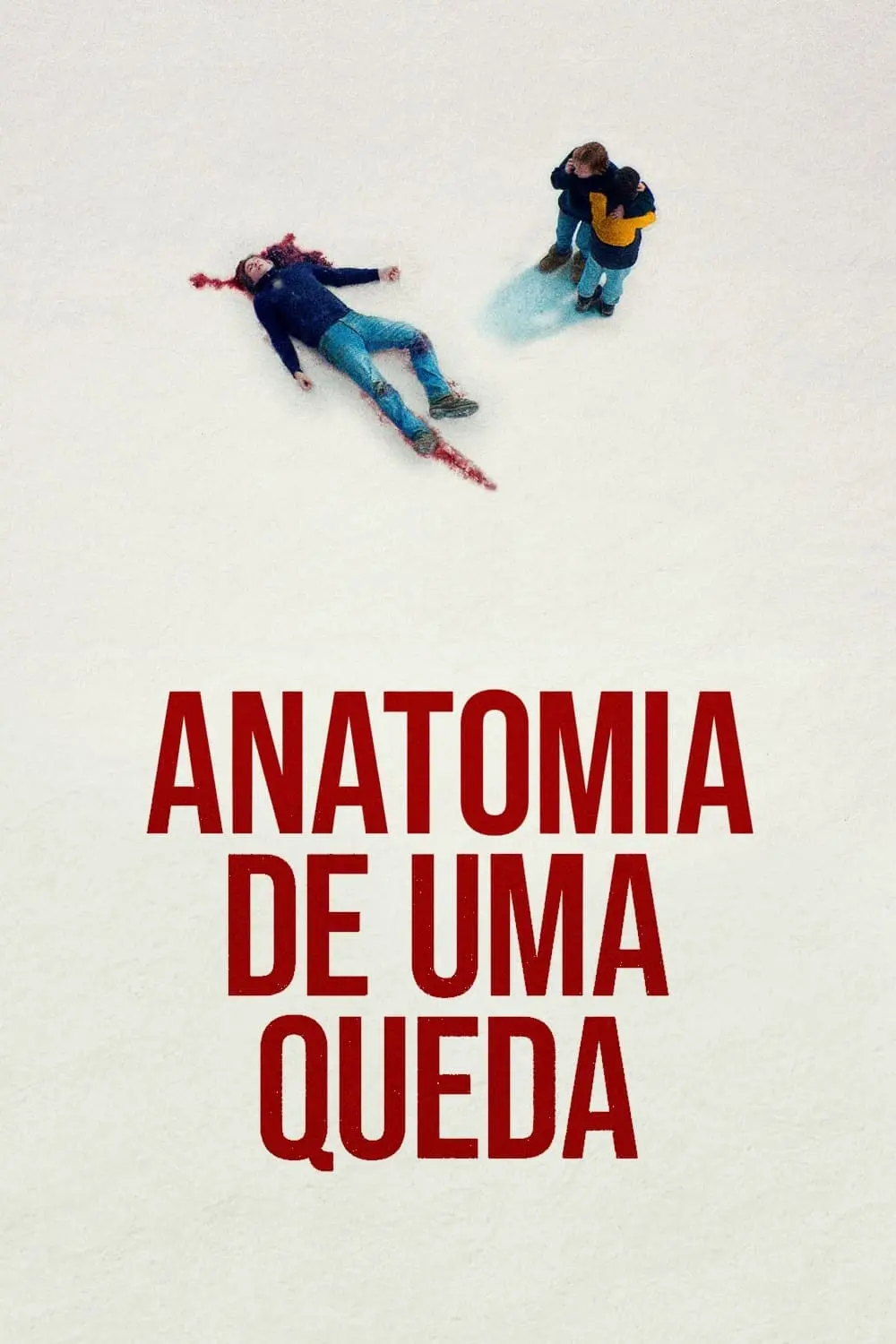 Anatomia de uma Queda_peliplat