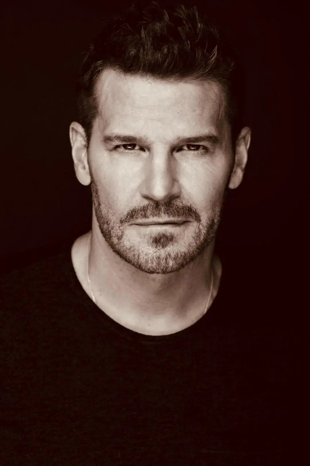 David Boreanaz_peliplat