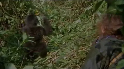 Gorillas In The Mist Trailer HD_peliplat