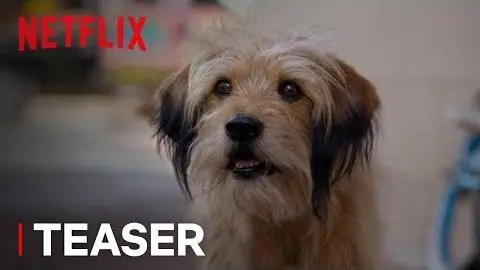 Benji | Official Teaser [HD] | Netflix_peliplat