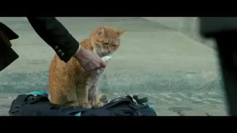 A Street Cat Named Bob - Meeting Bob Featurette - At Cinemas November 4_peliplat