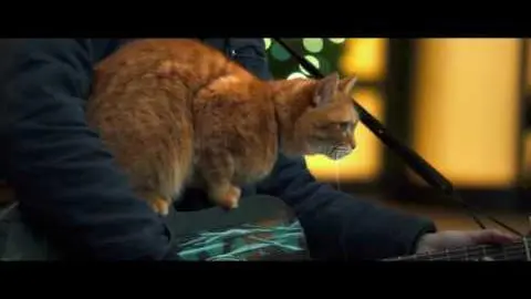 A Street Cat Named Bob - Silent Night Clip - At Cinemas Now_peliplat
