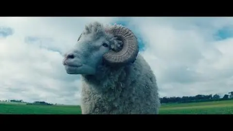 Rams Official Trailer 2020_peliplat