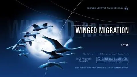 Winged Migration - Le Peuple Migrateur | Official Trailer_peliplat