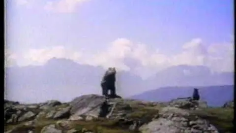 CTV Special Movie bumper The Bear 1992_peliplat
