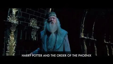 Dumbledore vs. Voldemort_peliplat