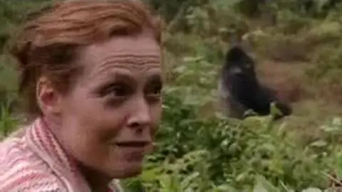 Sigourney Weaver Reunites with the Gorillas from 'Gorillas in the Mist'_peliplat