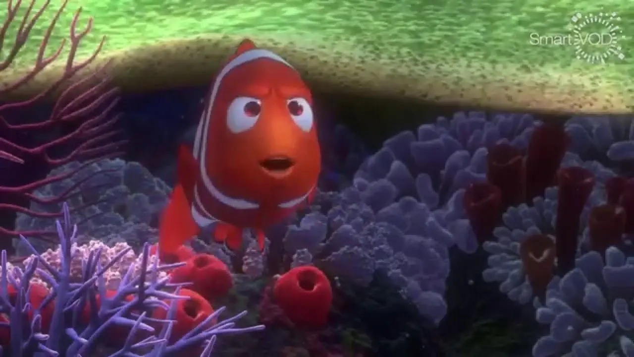 Procurando Nemo 3D: Trailer Oficial_peliplat