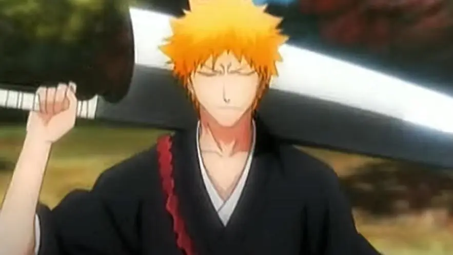 Bleach Memories of Nobody ANIMAX trailer_peliplat