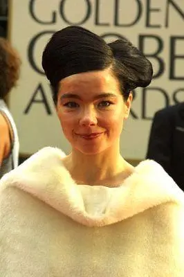 Björk_peliplat