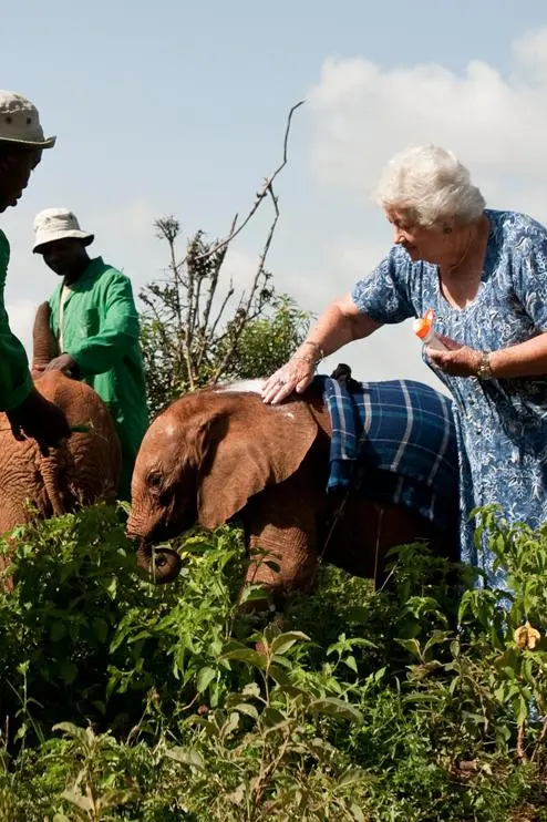 Daphne Sheldrick_peliplat