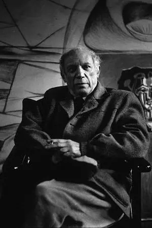 Pablo Picasso_peliplat