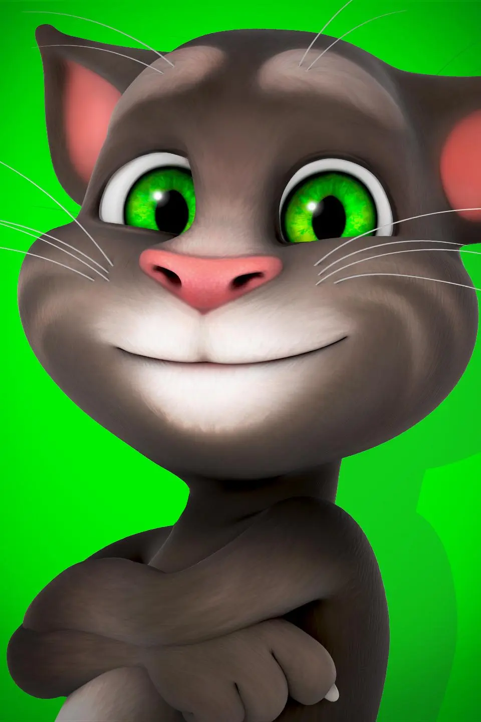 Talking Tom_peliplat