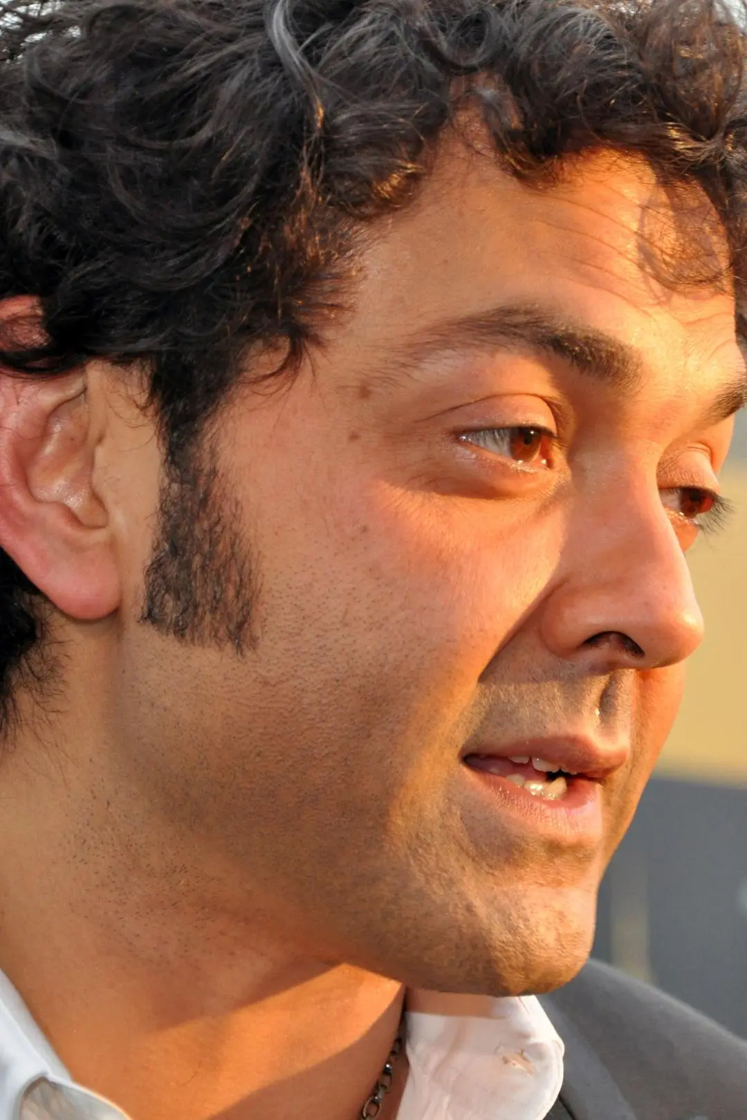 Bobby Deol_peliplat