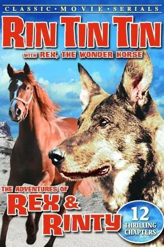 Rin Tin Tin Jr._peliplat