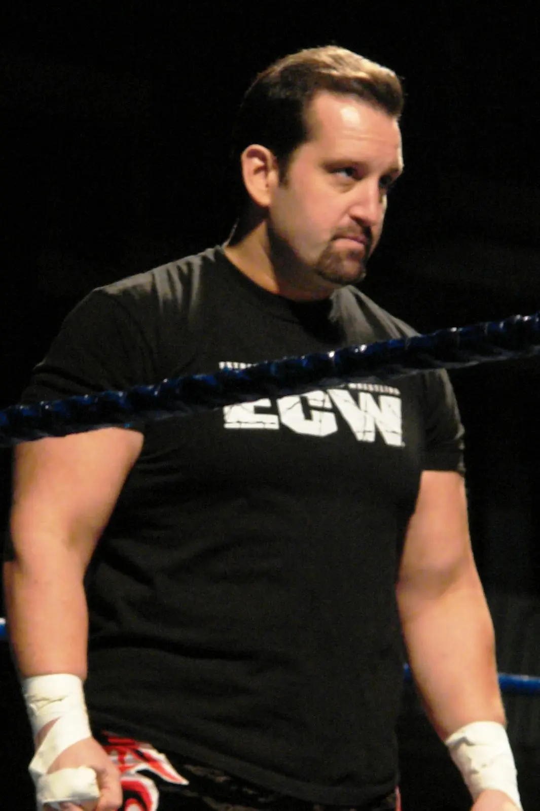 Tommy Dreamer_peliplat