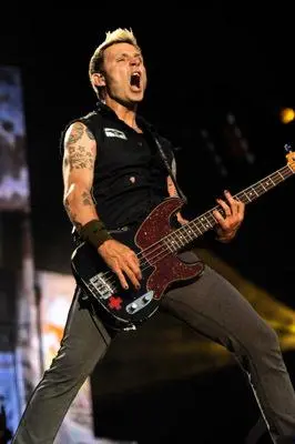 Mike Dirnt_peliplat