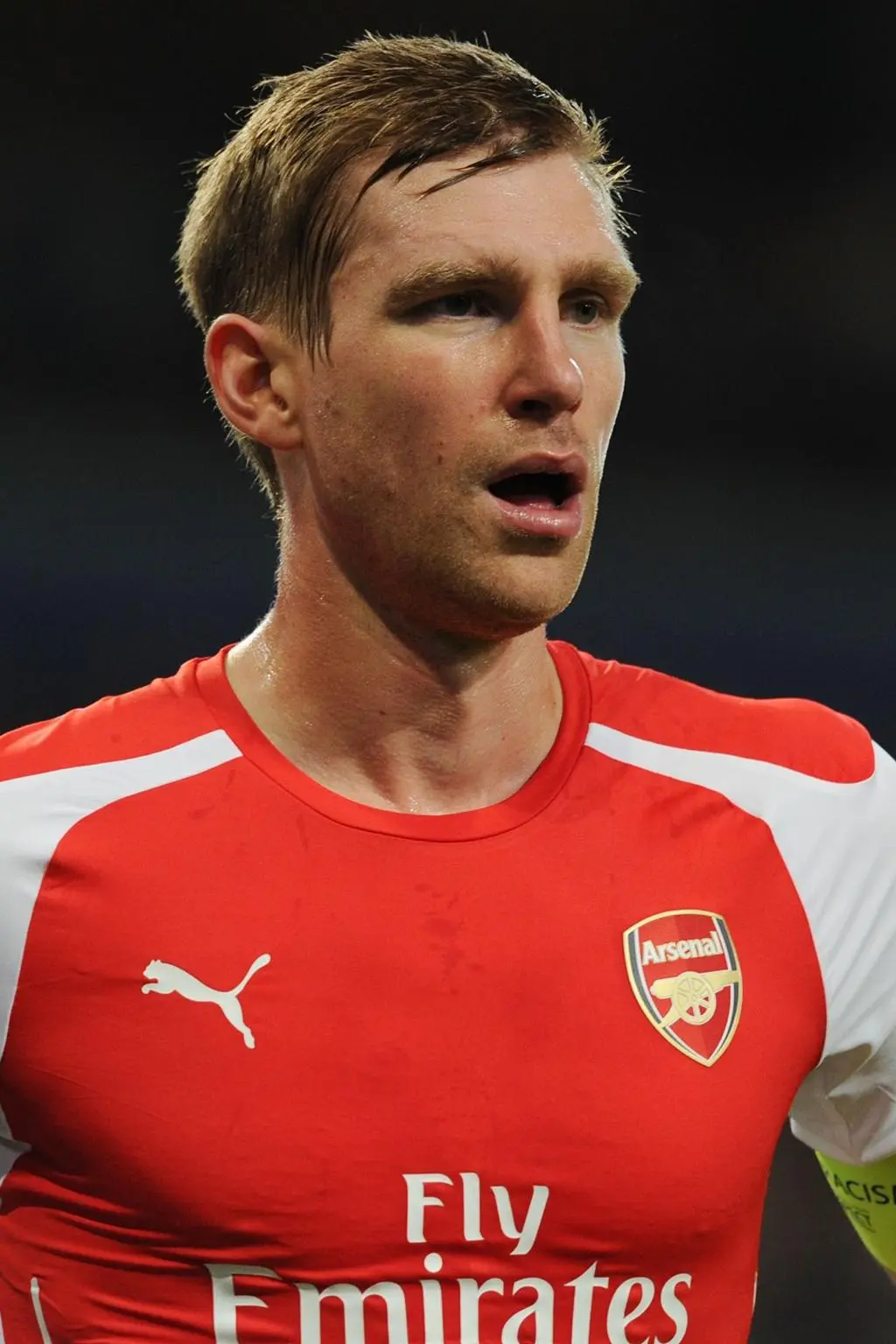 Per Mertesacker_peliplat