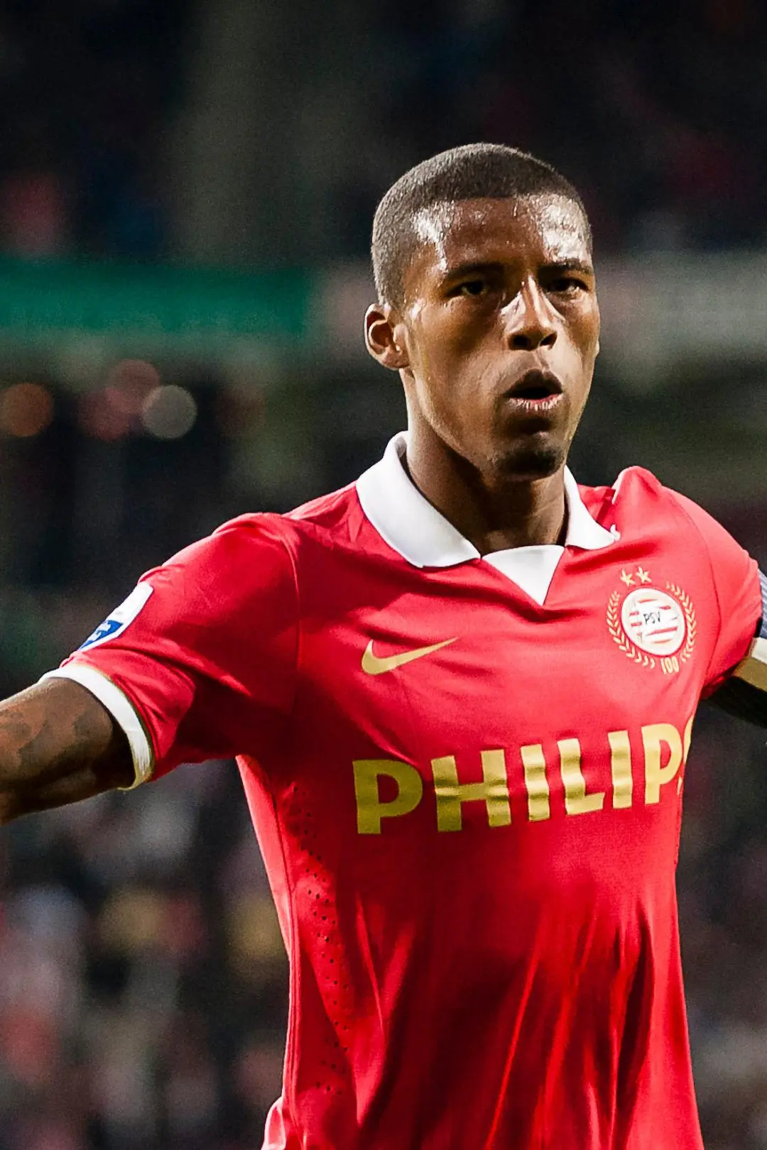 Georginio Wijnaldum_peliplat