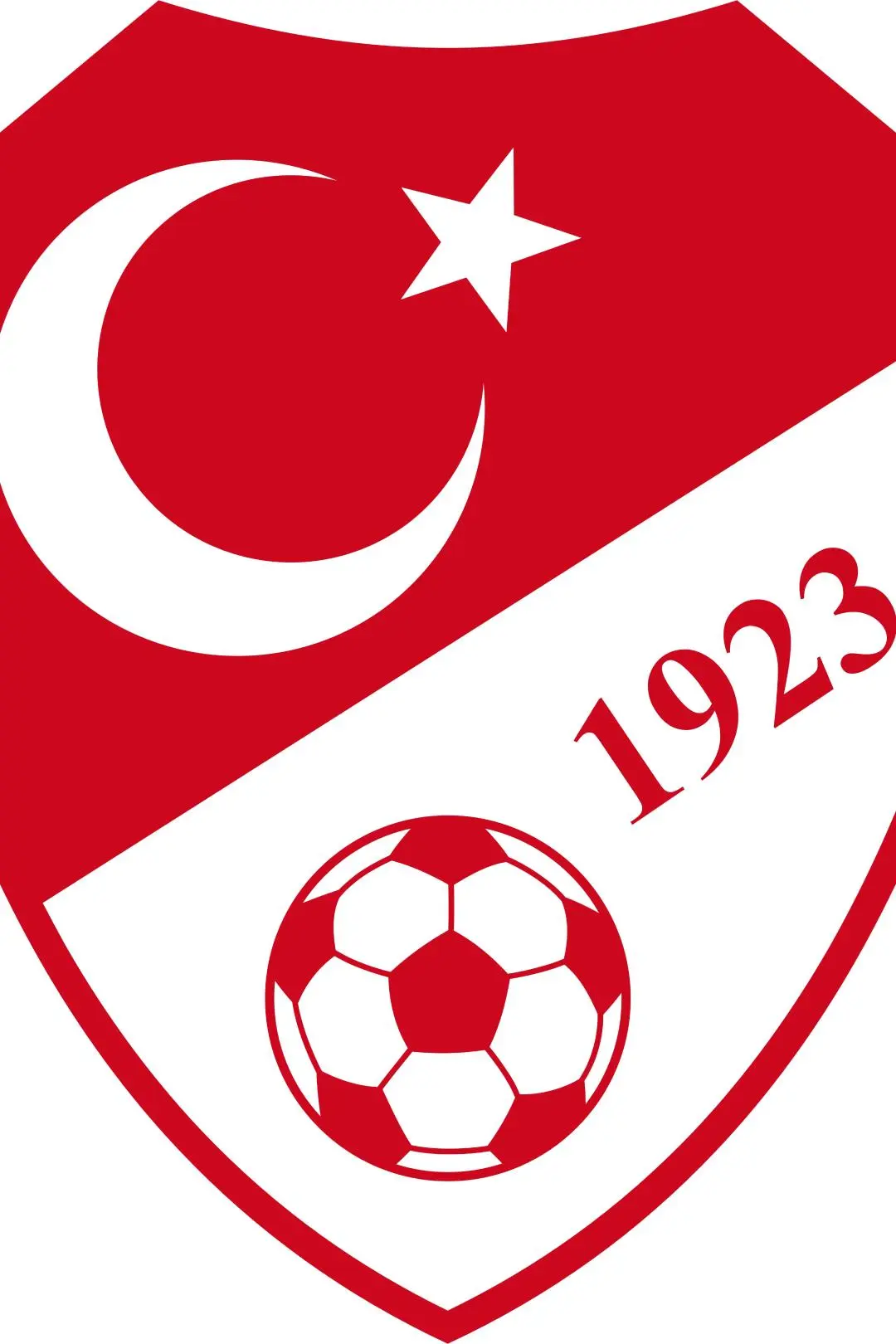Turkey National Football Team_peliplat
