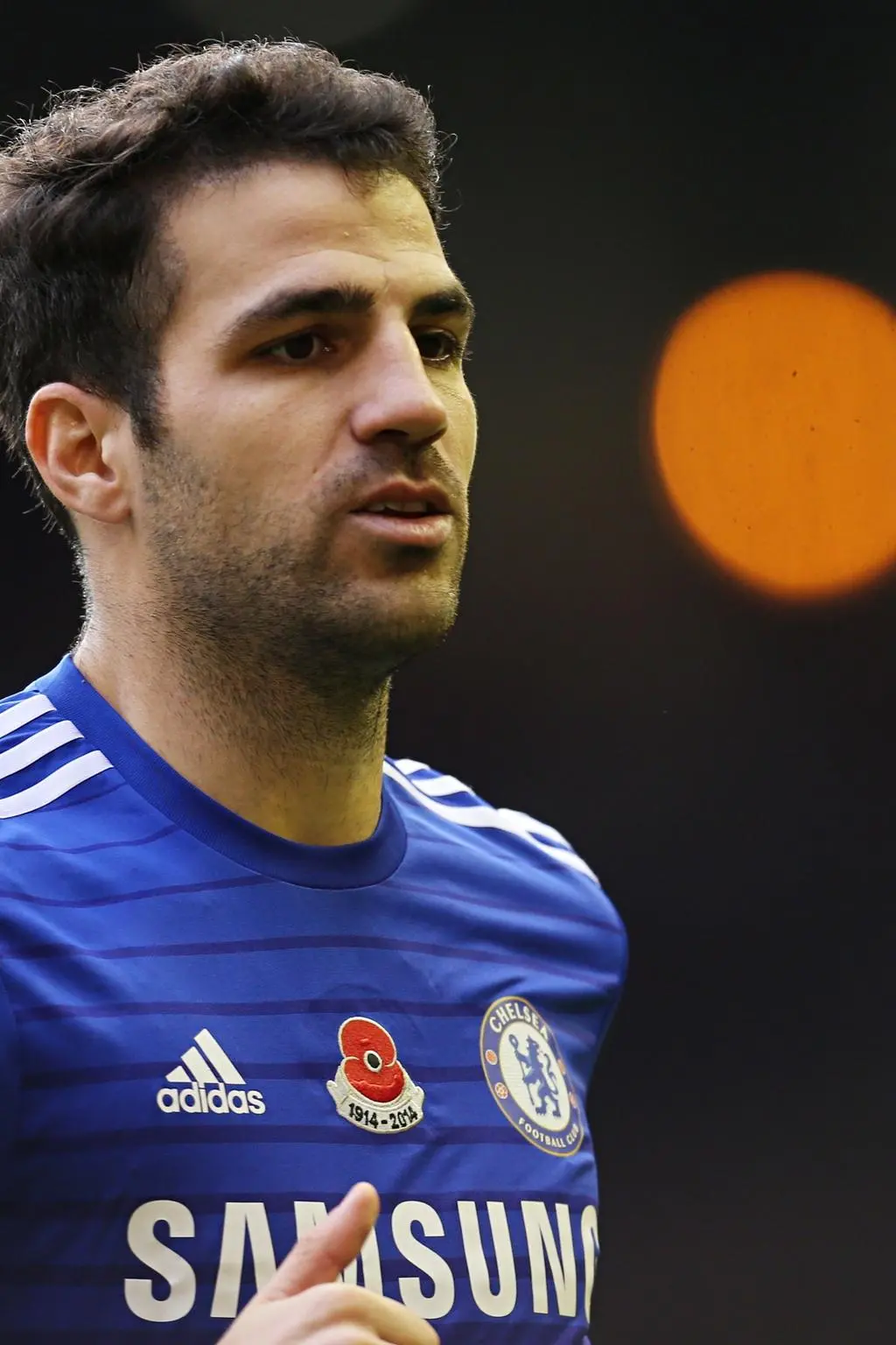 Cesc Fàbregas_peliplat