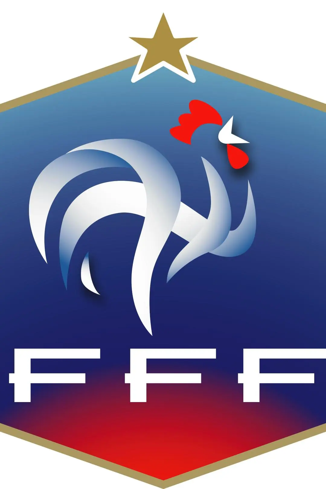 France National Football Team_peliplat