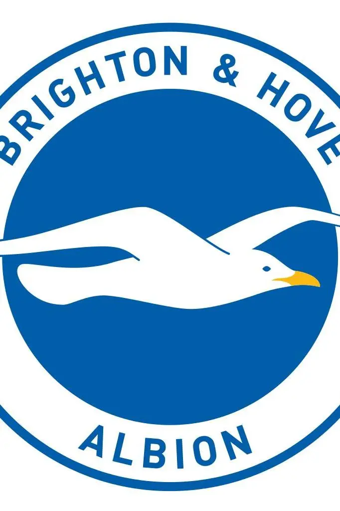 Brighton & Hove Albion F.C._peliplat