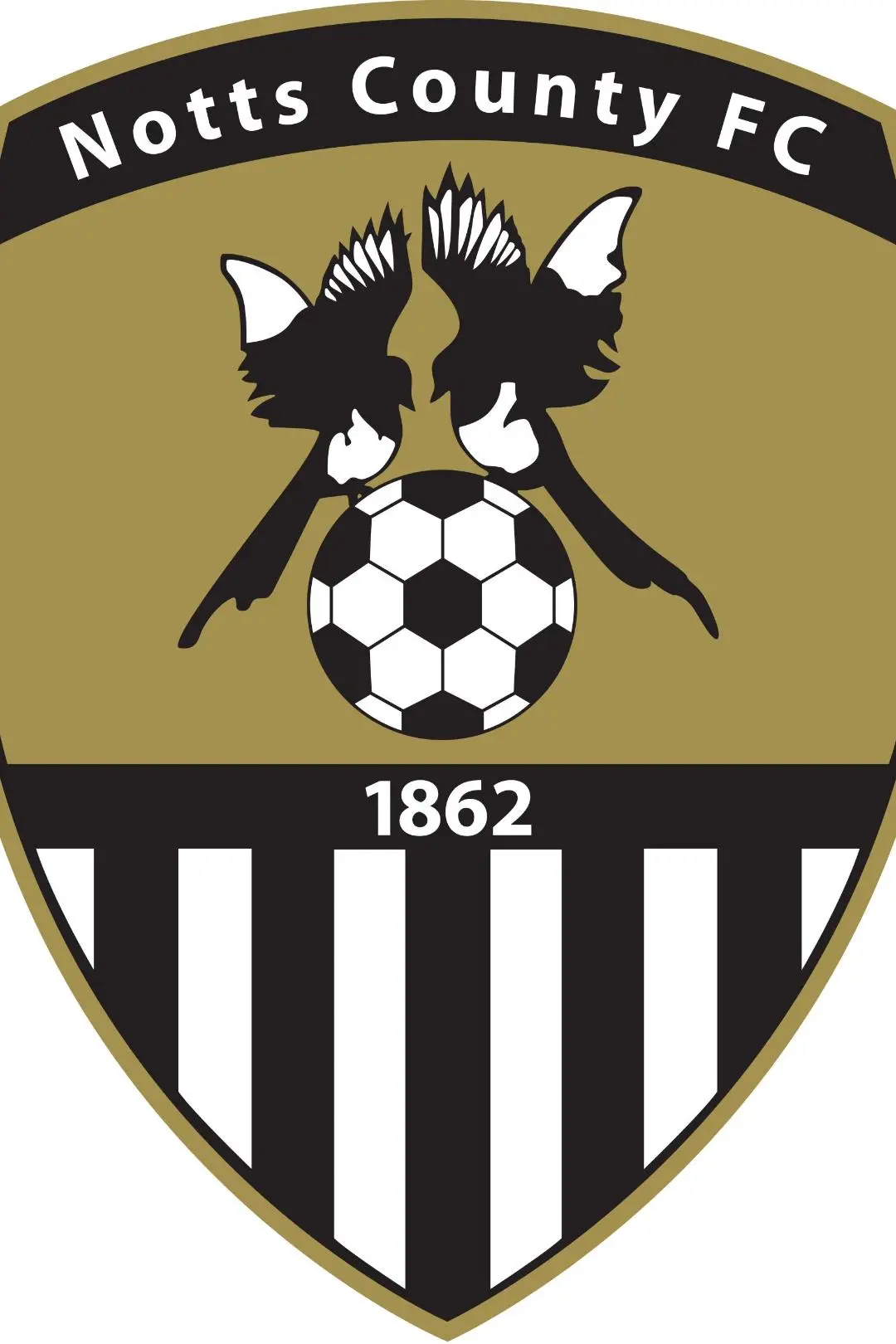 Notts County F.C._peliplat