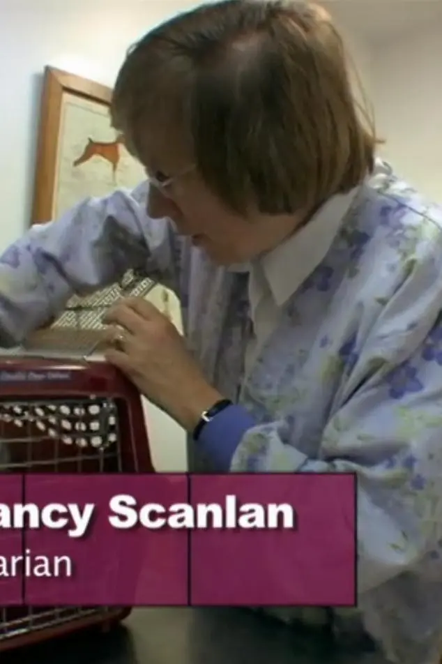 Nancy Scanlan_peliplat