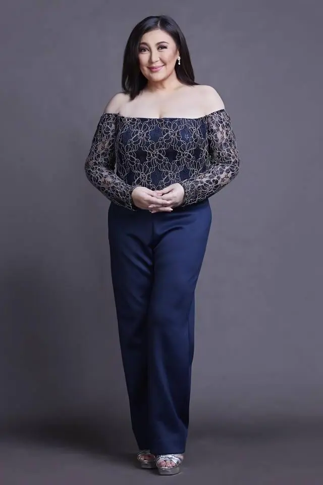 Sharon Cuneta_peliplat