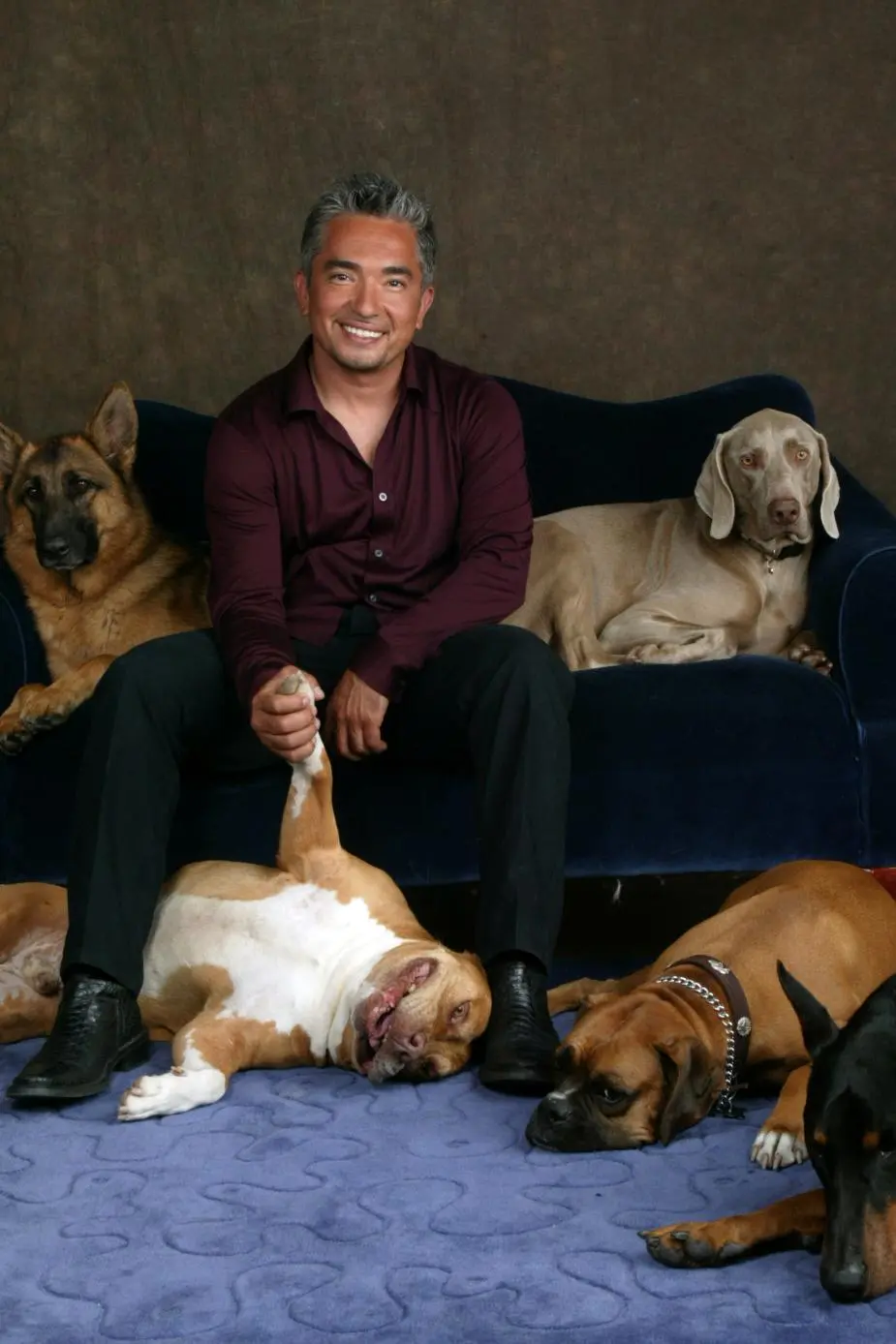 Cesar Millan_peliplat