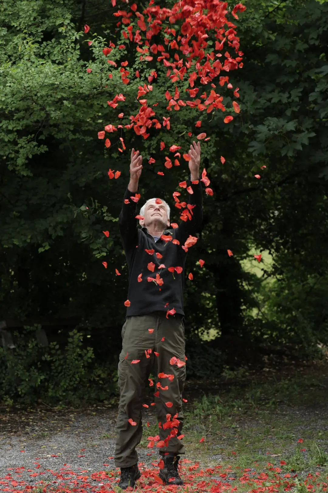 Andy Goldsworthy_peliplat