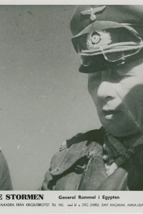 Erwin Rommel_peliplat