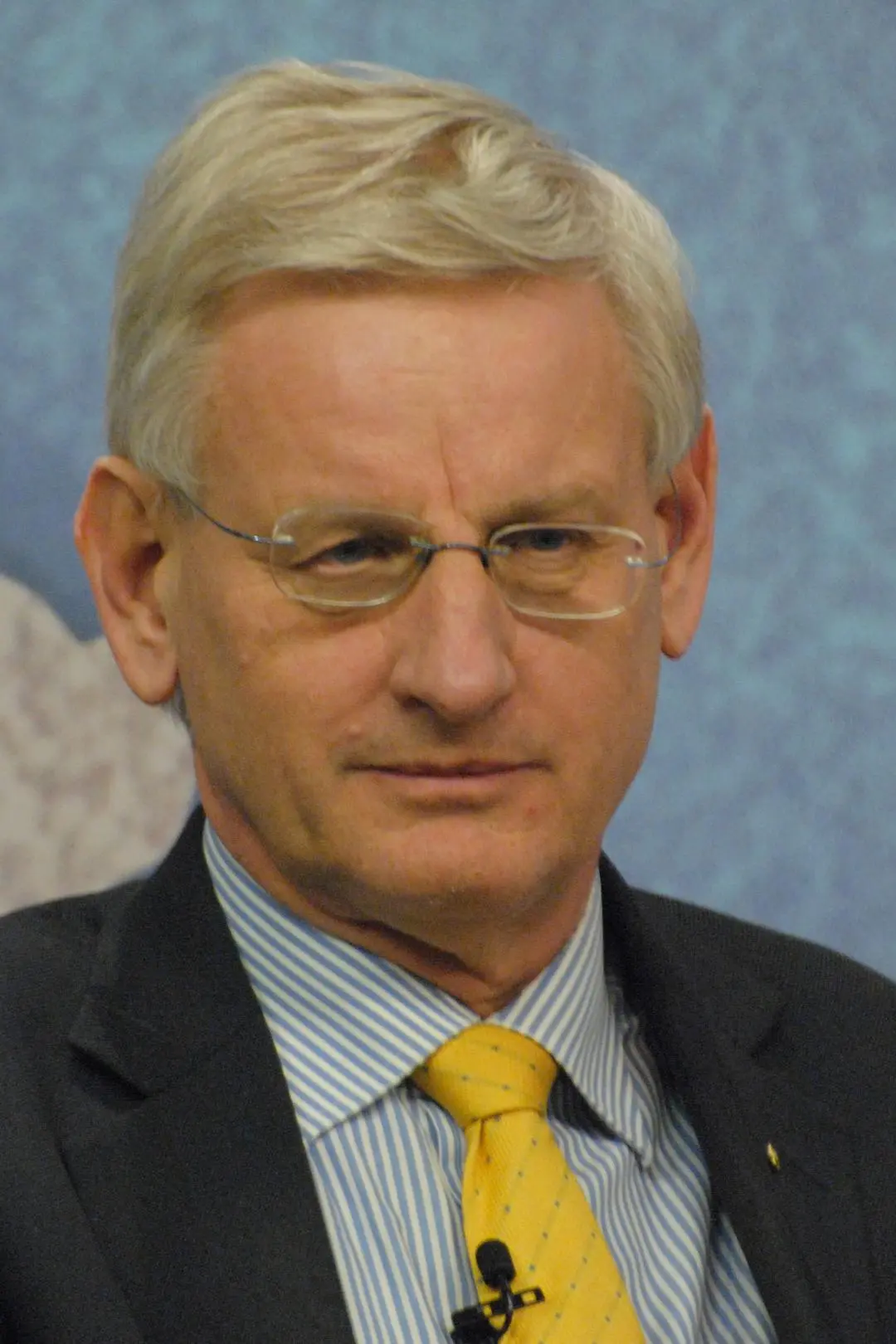 Carl Bildt_peliplat